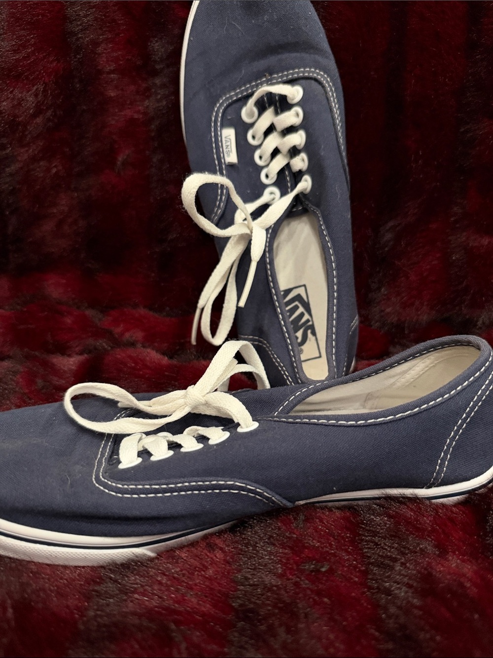 Vans Navy Canvas Low-Top Sneakers with White Laces